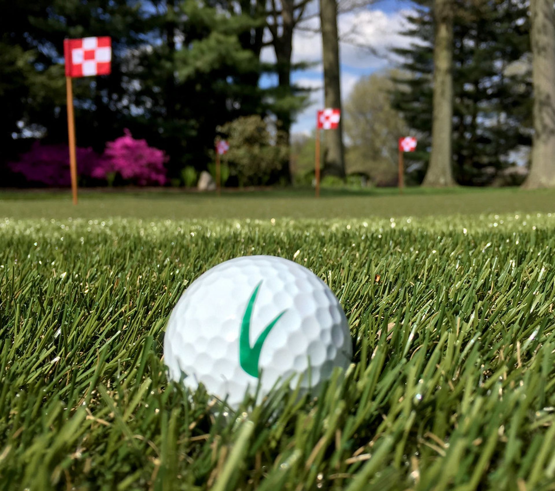 golf ball in grass