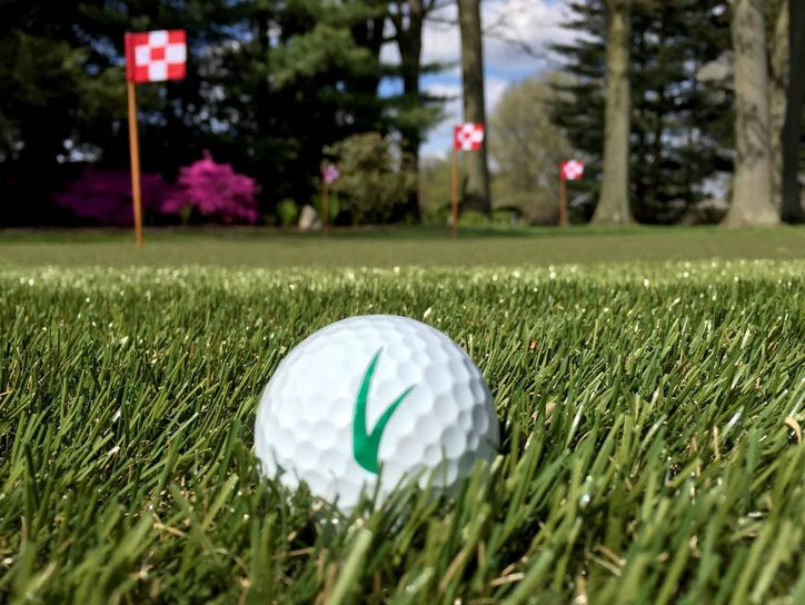 Golf balls on turf