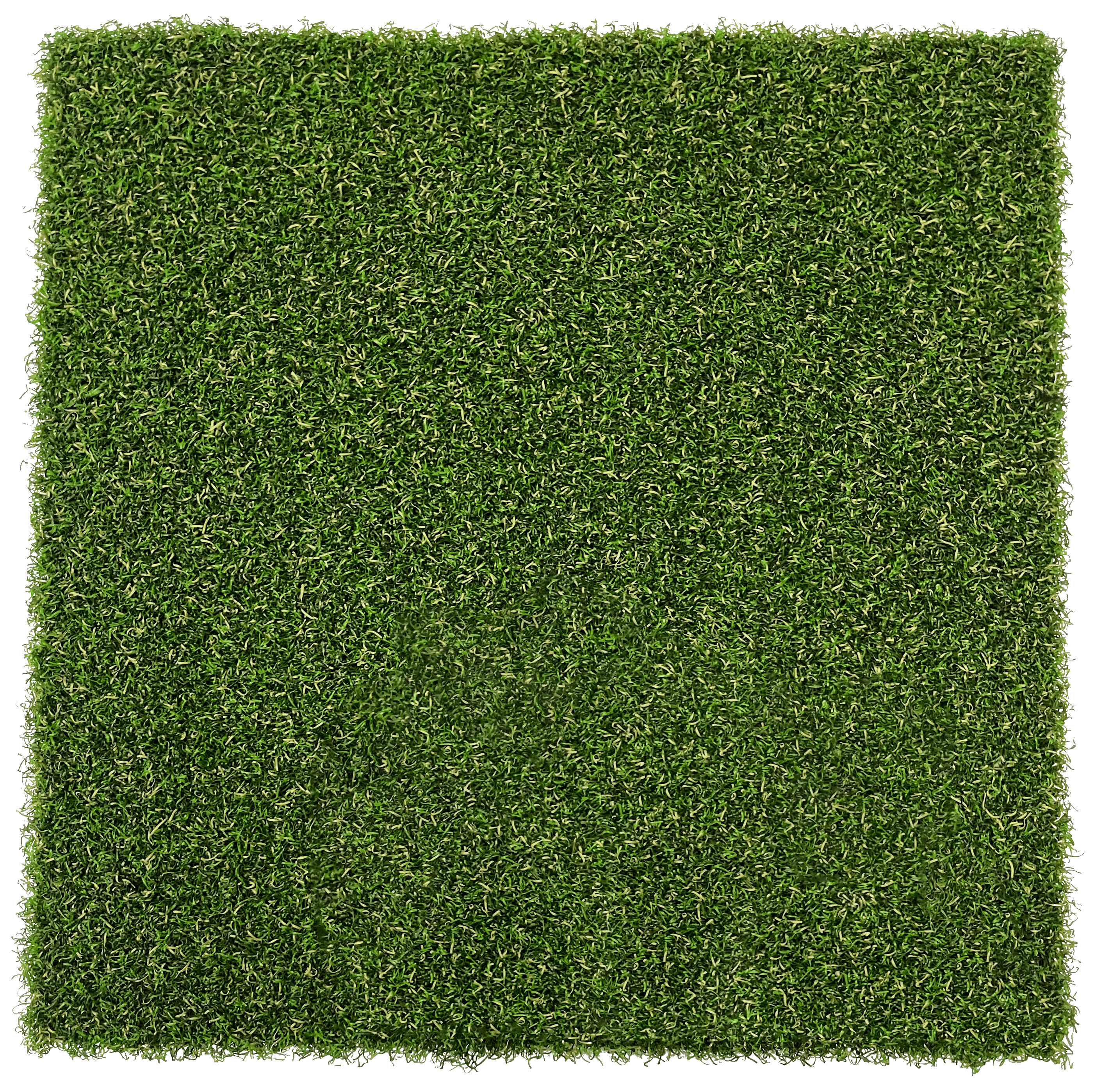 True Putt Sawgrass